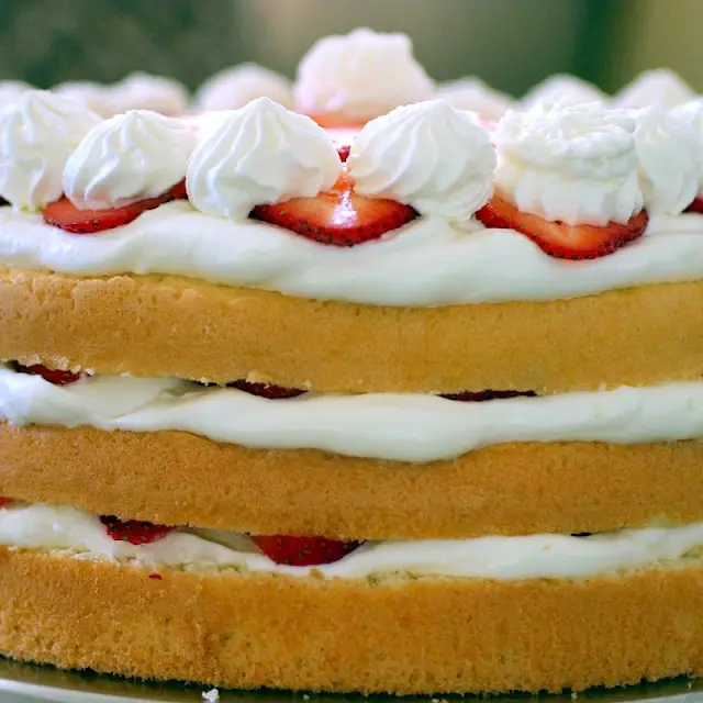 Strawberry Chiffon Shortcake